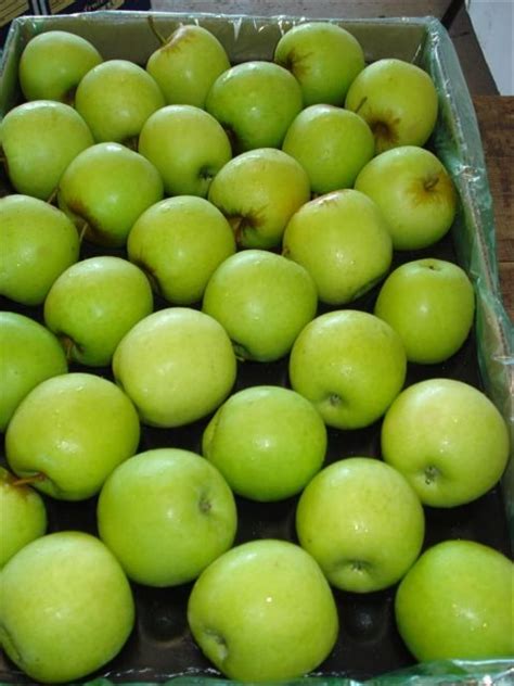 Fresh Apples Royal Gala Granny Smith Topred Starking South