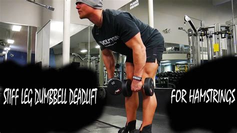 Stiff Leg Hamstring Deadlift With Dumbbells Youtube