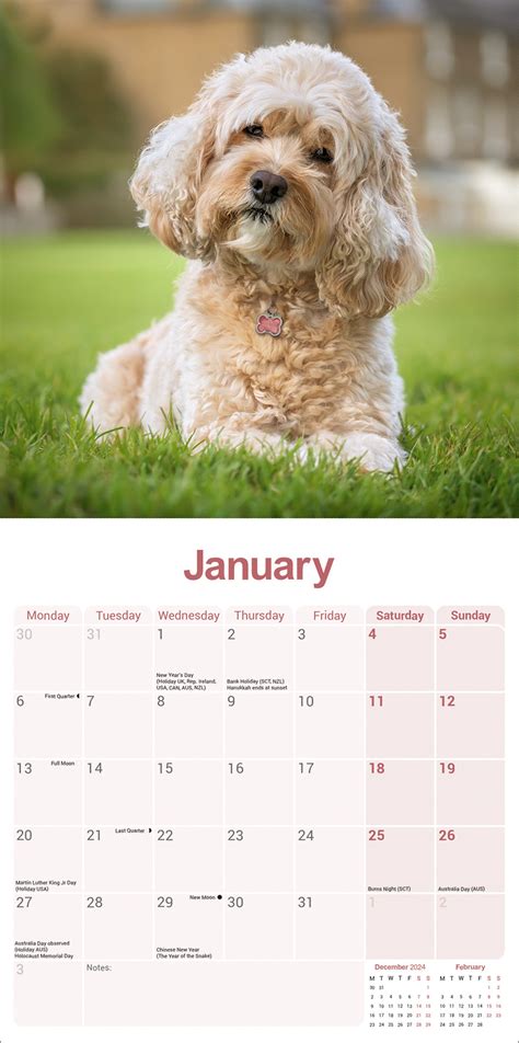 Comprar Calendario Cavapoo 2025 Simplemente Haz Tu Pedido Online