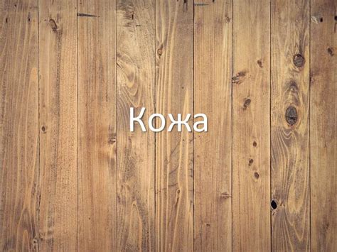 Кожа. Виды кожи - презентация онлайн
