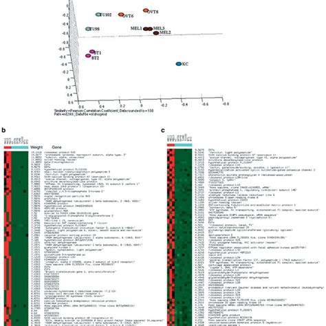 Analysis Of Melanoma SAGE Libraries Using Distance Based Gene