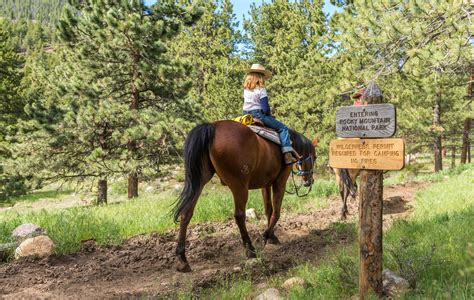 Estes Park Rocky Mountain National Park Horseback Trail Riding