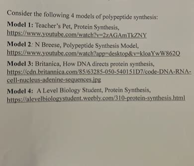 SOLVED Consider The Following 4 Models Of Polypeptide Synthesis Model