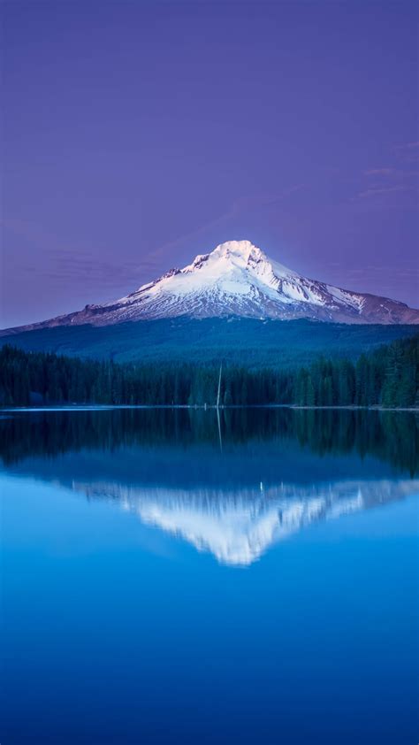 Mountain Lake Forest Night Reflection Wallpaper 1080x1920