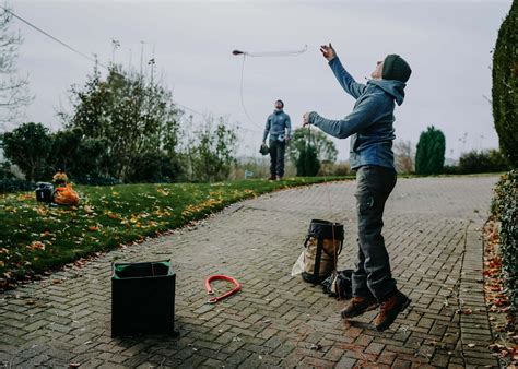 Tree Surgery Service Tree Surgeon Sheffield