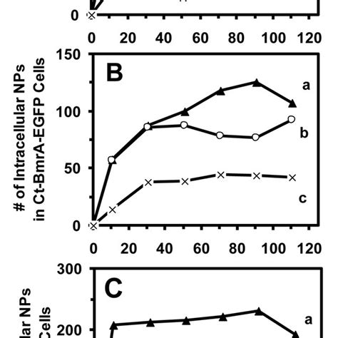 Study Of Concentration Dependent Accumulation And Efflux Kinetics Of