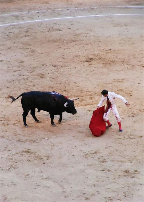 EsperanzaRising: The Art of the Bullfight - Madrid