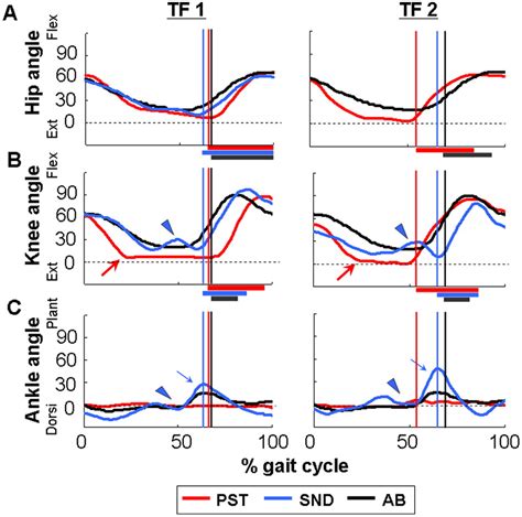 Lower Extremity Joint Kinematics Of Stair Ascent In Transfemoral