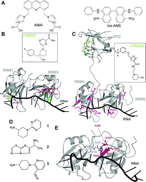 Direct Targeting Of TDP 43 From Small Molecules To Biologics The