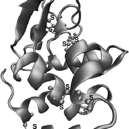 Ribbon Diagram Of X Ray Crystal Structure Of Hen Egg White Lysozyme