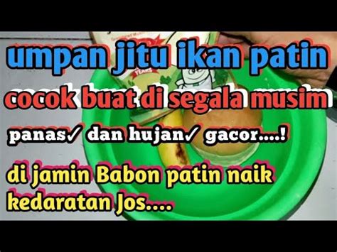 Umpan Jitu Ikan Patin Kolam Harian Serba Bisa Umpanikanpatin