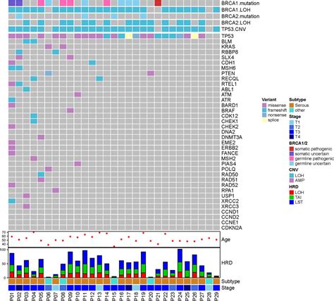 Frontiers Biomarker Assessment Of Homologous Recombination Deficiency In Epithelial Ovarian