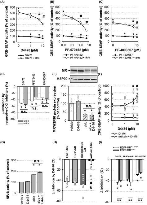 Modulation Of Transcriptional Mineralocorticoid Receptor Activity By