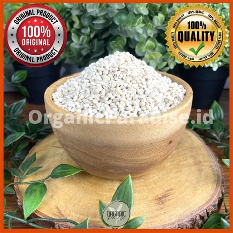 Natural Pearl Barley Biji Jali Jali 1 Kg Lazada Indonesia