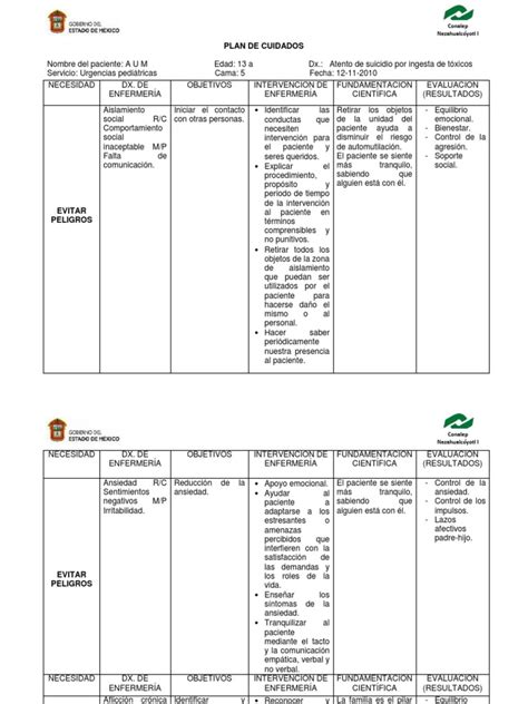 Plan De Cuidados