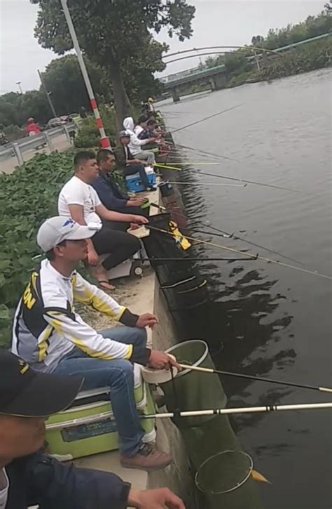 不同季節野釣手竿抽窩子的方法和細節 每日頭條