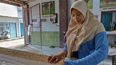 Harga Kedelai Meroket Pengrajin Tahu Dan Tempe Di Blitar Perkecil Ukuran