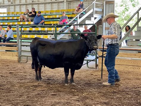 Expo Photos - American Dexter Cattle Association