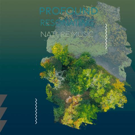 ZZz Profound Resonating Nature Music ZZz Album By Nature Sound Series