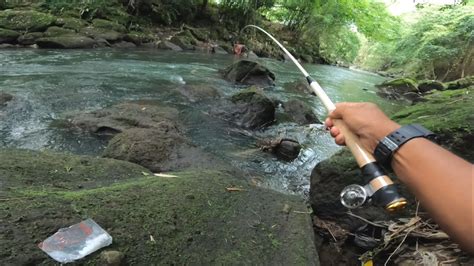 UMPAN INI GACOR PARAH MANCING IKAN NILEM DI SPOT SUNGAI AIR JERNIH