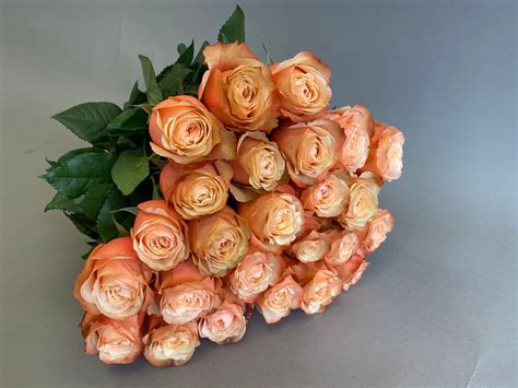 Two Dozen Long Stem Kahala Roses The Rosarium Premium Flower