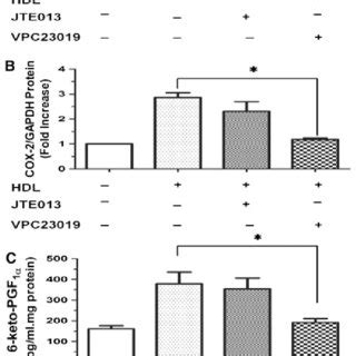 Hdl Induced Cox Expression And Pgi Release In Huvecs A B Huvecs