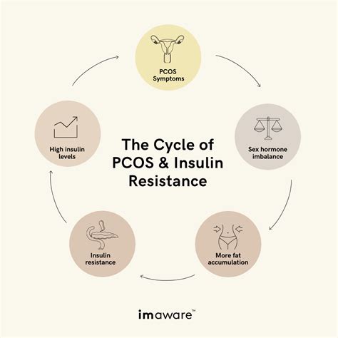 The Link Between Pcos And Insulin Resistance Imaware™