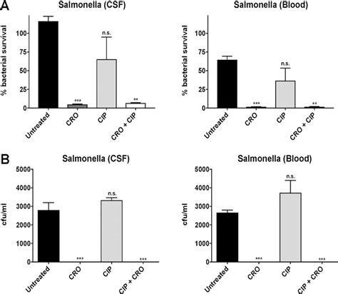 The Percentage Of Bacterial Survival And Number Of Colony Forming Units