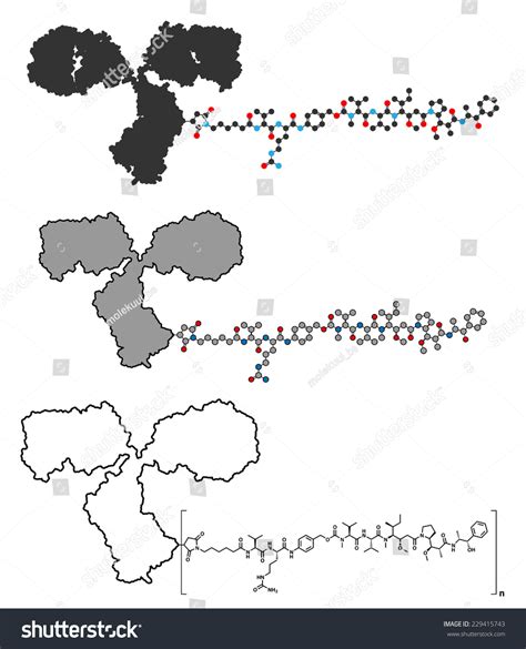 Brentuximab Vedotin Antibodydrug Conjugate Molecule Consists Stock