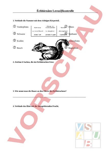 Arbeitsblatt Lzk Eichhörnchen Biologie Tiere