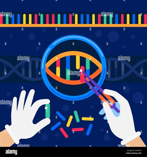 Genome Sequencing Concept Nanotechnology And Biochemistry Laboratory The Hands Of A Scientist