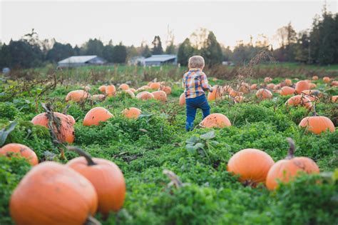 Pumpkin patch family photos - Fraser Valley Family Photographer - Wink ...