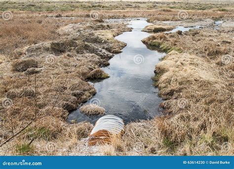 Oil Produced Water Contaminate Environment Stock Photo Image Of