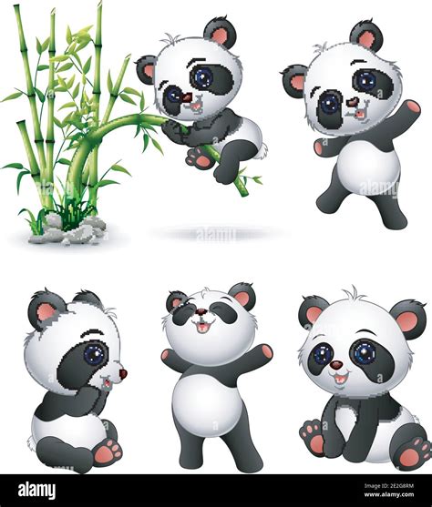 Cute Baby Panda Art