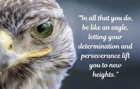 Epic Eagle Quotes To Uplift Your Spirit