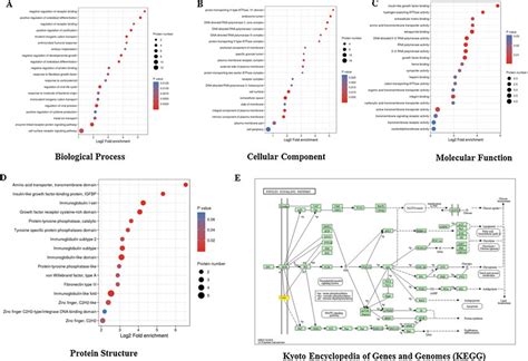 Go Kegg And Protein Domain Enrichment Analysis Of Differentially