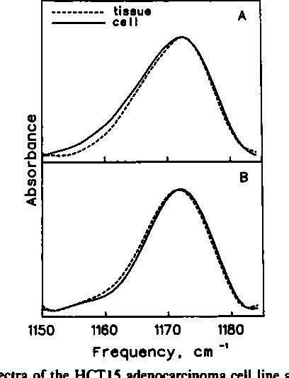 Figure From Human Colon Adenocarcinoma Cell Lines Display Infrared