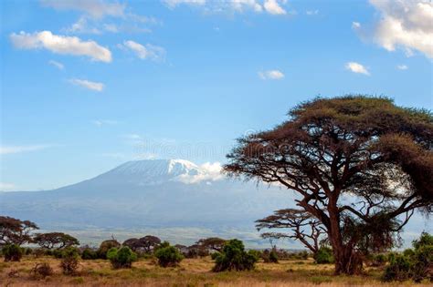 Snow on Top of Mount Kilimanjaro in Amboseli Stock Image - Image of ...