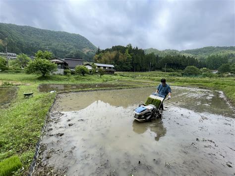 みんなで田植え Tanadablogの日記