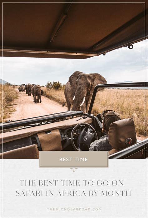 The Ultimate Africa Travel Guide • The Blonde Abroad