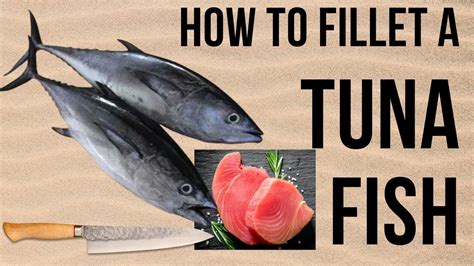 Amazing Tuna Fish Cutting Master The Art With Expert Fish Cutting