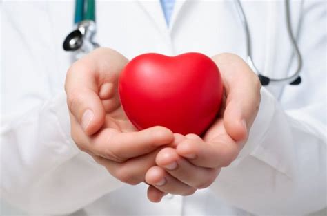 Sistema Cardiovascolare Prevenzione Delle Malattie Notizie Di Bellezza