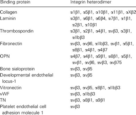 Proteins Binding To Different Integrin Heterodimers Download Scientific Diagram