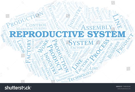 Reproductive System Word Cloud Create Text Stock Vector Royalty Free 1798049548 Shutterstock