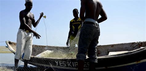 Novas Da Guin Bissau Aprovados Acordos De Pesca Guin Bissau