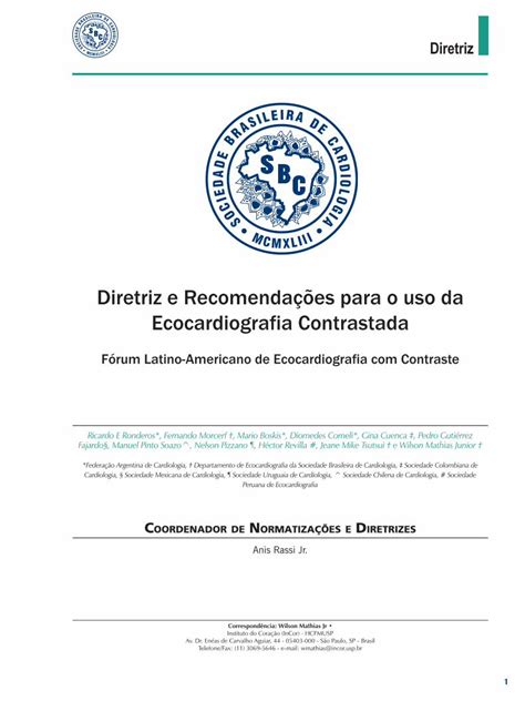 PDF Diretriz e Recomendações para o uso da Ecocardiografia