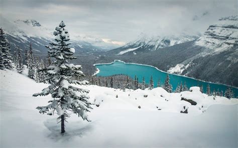 Banff NP In Winter Wallpapers - Wallpaper Cave