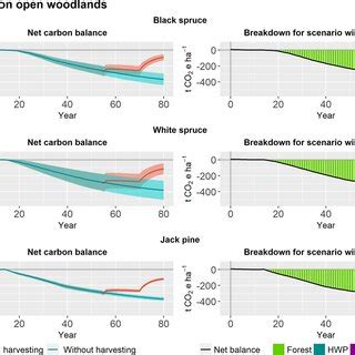 Cumulative Net Carbon Balance Relative To The Baseline Of