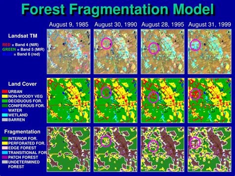 PPT A Forest Fragmentation Index To Quantify The Rate Of Forest