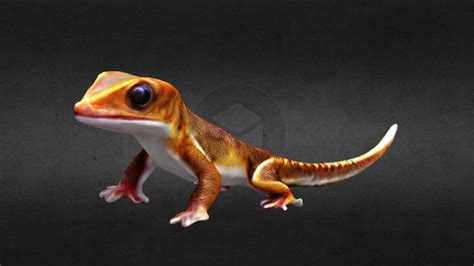 Gecko 3d Models Sketchfab